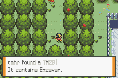 MT28 Excavar encontrada en el sendero exterior del Parque Nacional